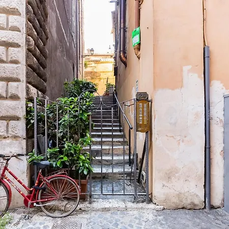 White Coronari Daire